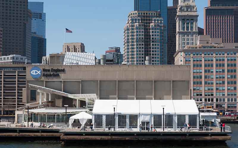 New England Aquarium