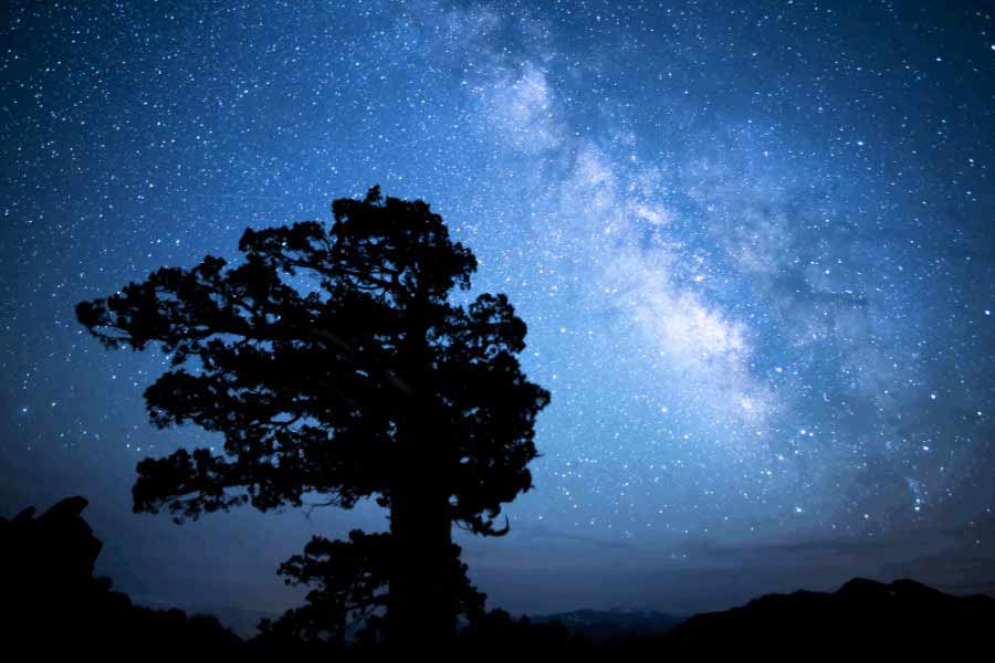 Observation des étoiles dans le Grand Canyon