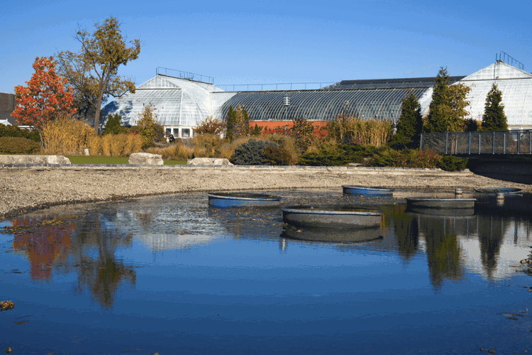 Garfield Park Conservatory