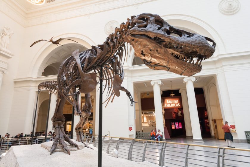 10 Incredible American City Museums-The Breathtaking Amalgamation Of Styles