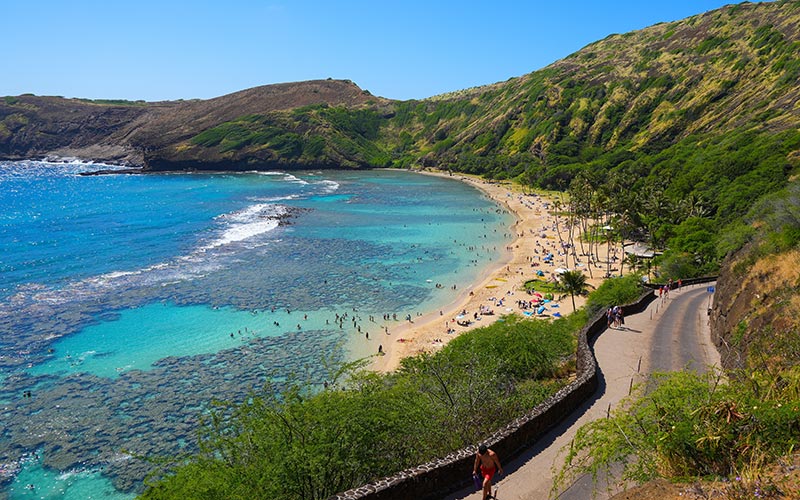 hawaii islands at christmas