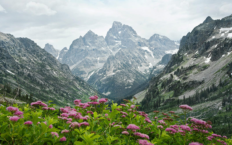 Jackson Hole