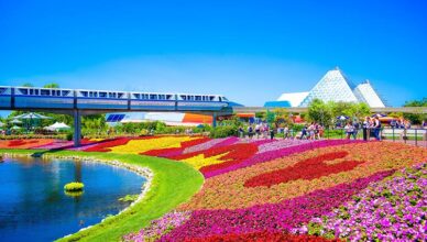 Flower-filled park in Orlando, Florida – Affordable places in the US