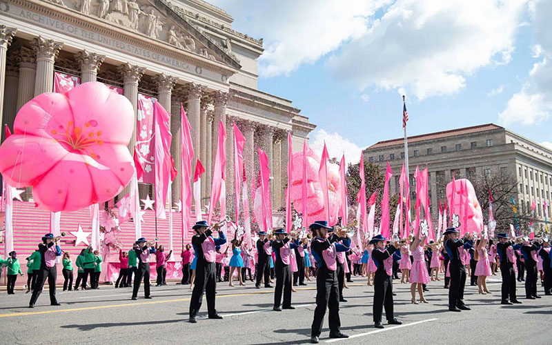 National Cherry Blossom Festival Parade in Washington, DC, with colorful floats and performers.