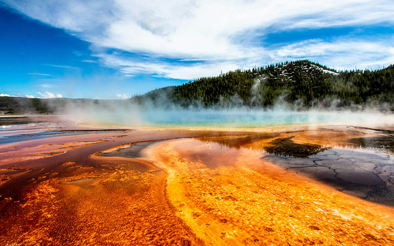 Yellowstone National Park in April with erupting geysers, emerging greenery, and wildlife.