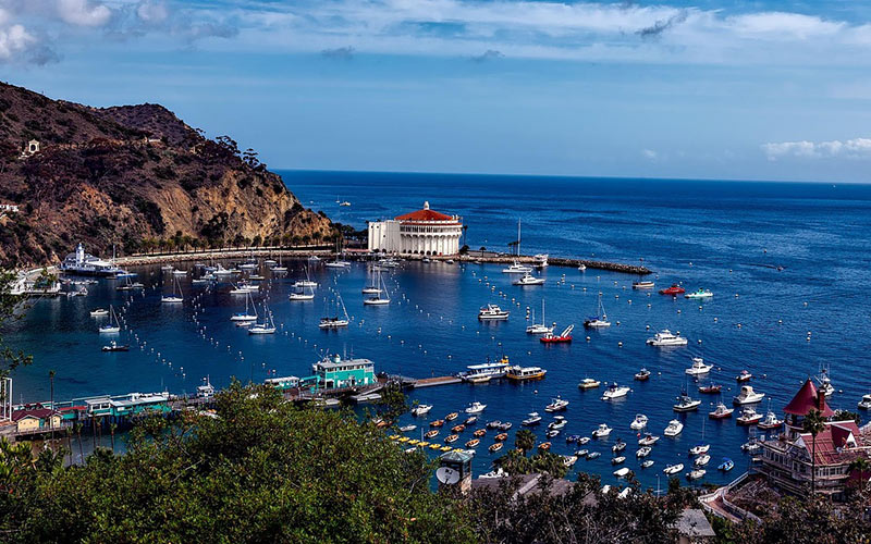 Scenic view of Catalina Island with blue ocean and lush hills.